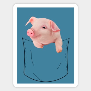 Cute Piggy In My Pocket | Pocket design Magnet